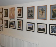 A picture of the art display along the main corridor in College